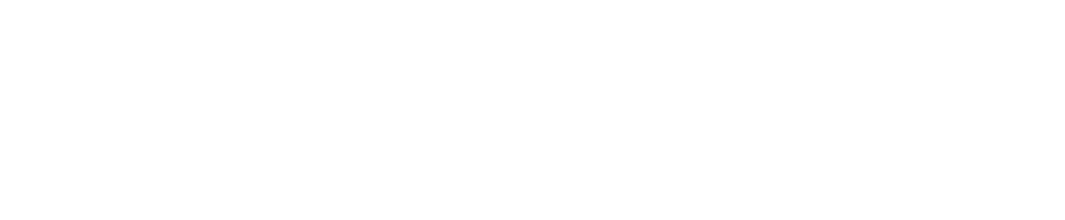 Ganzeboom partner